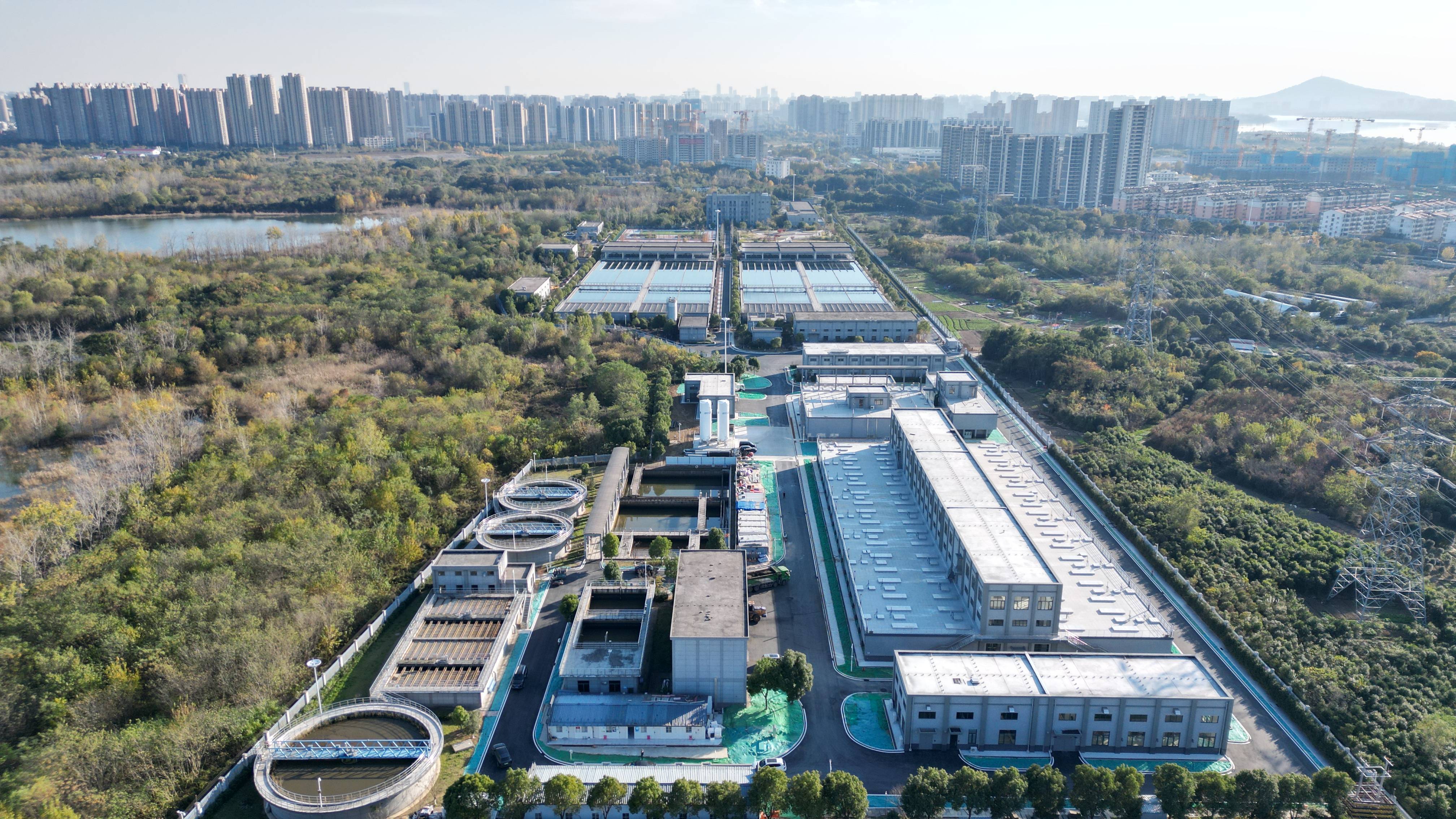新星市合肥专业企业价值增长(合肥市重点企业产业目录)