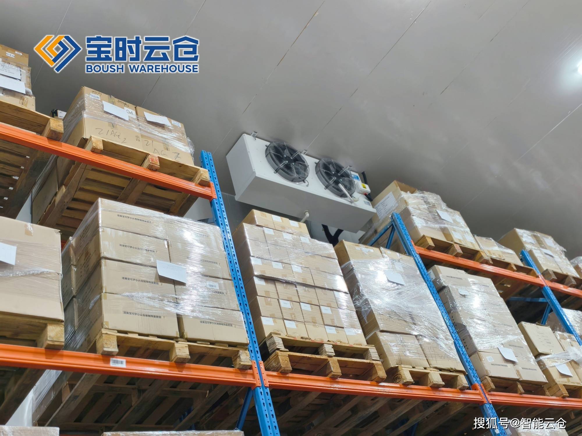 新星市领先物流品牌升级(领先物流服务商是自营物流)
