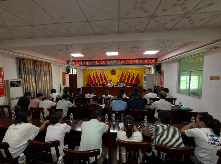 新星市海口专业法务咨询(海南法之道法务咨询有限公司)
