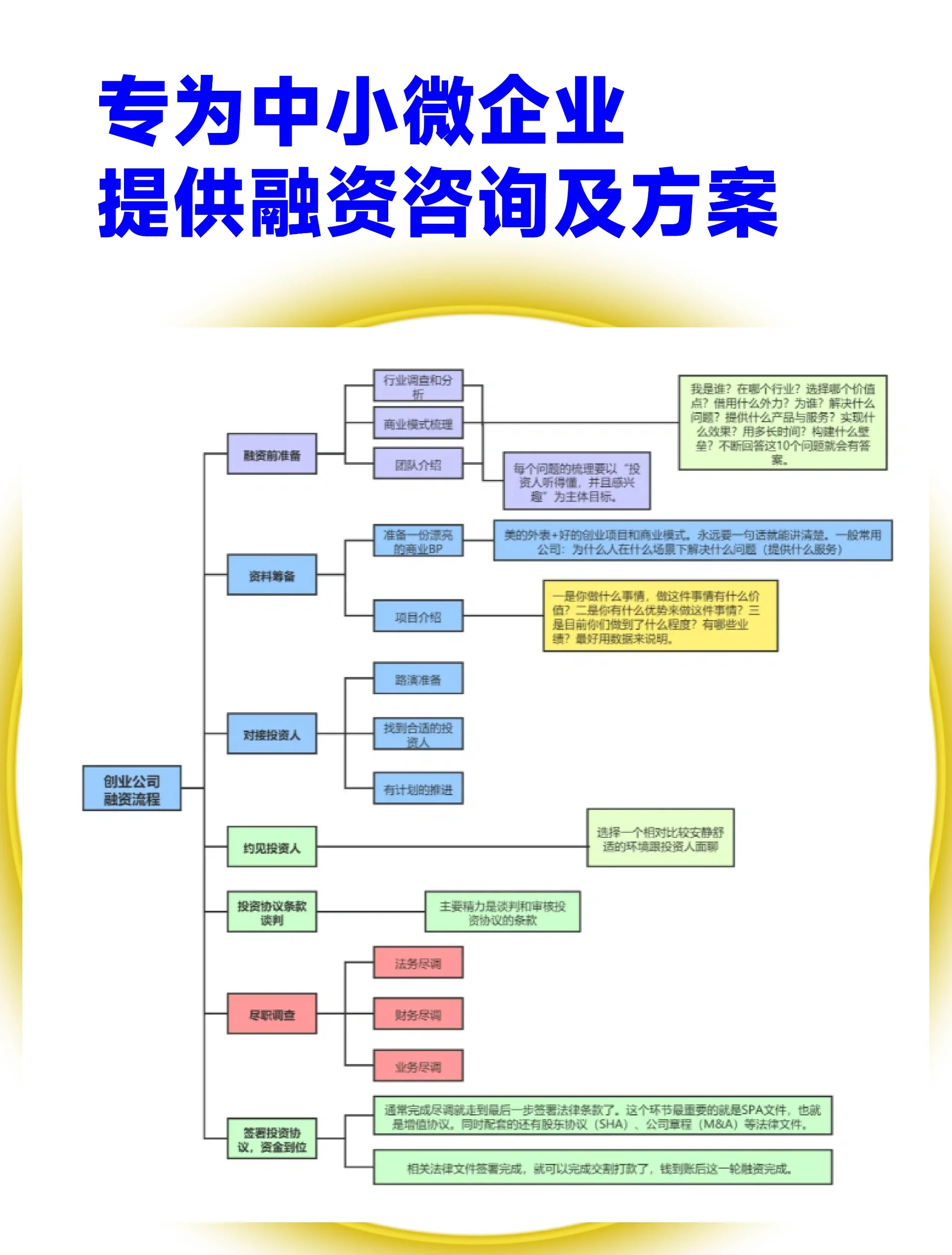 新星市宠物企业资金管理(宠物管理机构叫什么)