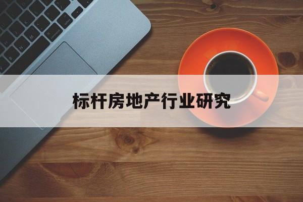 新星市标杆房地产行业研究(房地产领域的标杆人物)