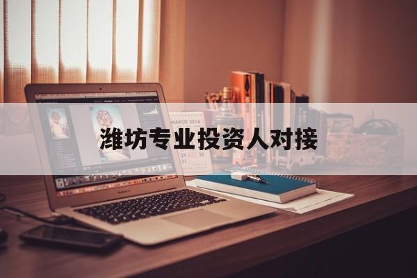 新星市潍坊专业投资人对接(潍坊专业投资人对接中心)