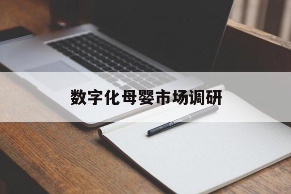 新星市数字化母婴市场调研(数字化母婴市场调研报告)
