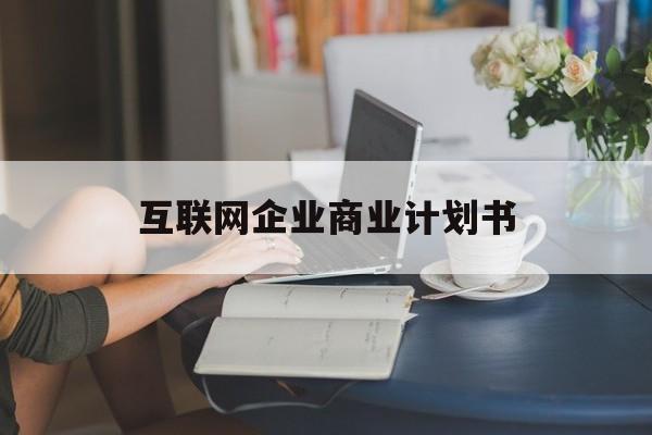 新星市互联网企业商业计划书(互联网行业商业计划书侧重点)
