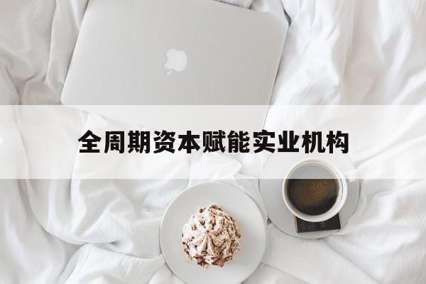 新星市全周期资本赋能实业机构(全周期管理)