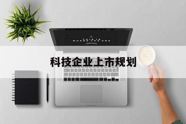 新星市科技企业上市规划(大型科技企业 上市)