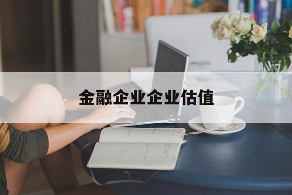 新星市金融企业企业估值(最新企业估值怎么填)